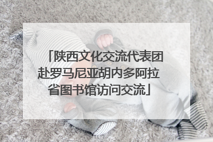 陕西文化交流代表团赴罗马尼亚胡内多阿拉省图书馆访问交流