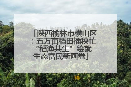 陕西榆林市横山区：五万亩稻田插秧忙 “稻渔共生”绘就生态富民新画卷