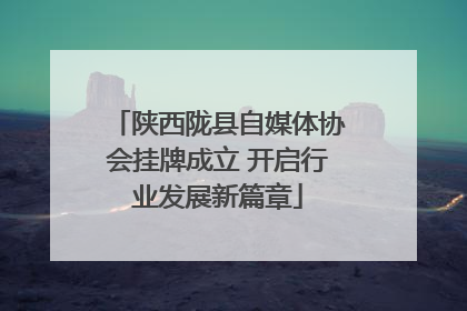 陕西陇县自媒体协会挂牌成立 开启行业发展新篇章