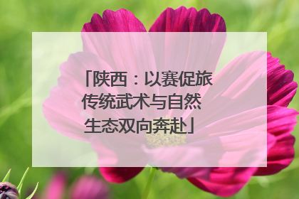 陕西：以赛促旅 传统武术与自然生态双向奔赴