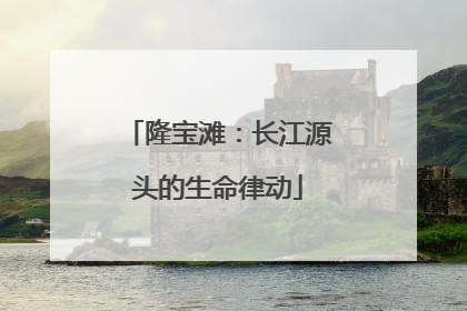 隆宝滩：长江源头的生命律动