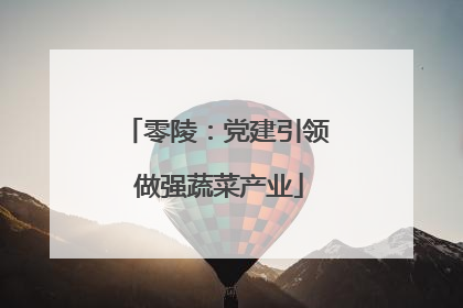 零陵：党建引领 做强蔬菜产业