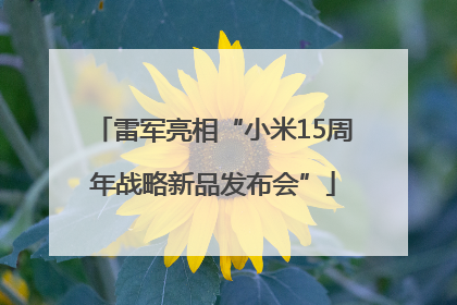 雷军亮相“小米15周年战略新品发布会”