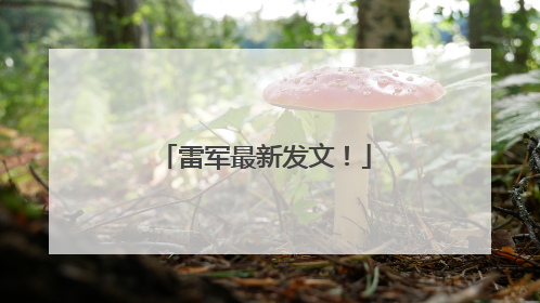 雷军最新发文！