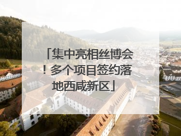 集中亮相丝博会！多个项目签约落地西咸新区