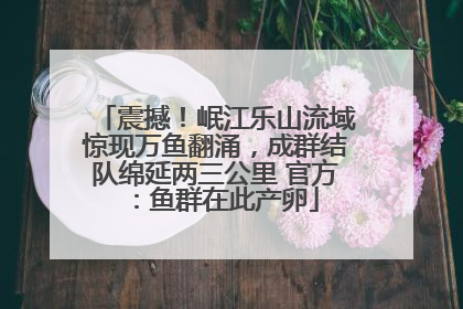 震撼！岷江乐山流域惊现万鱼翻涌，成群结队绵延两三公里 官方：鱼群在此产卵