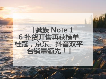 魅族 Note 16 补货开售再获榜单桂冠，京东、抖音双平台销量领先！