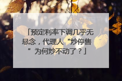 预定利率下调几乎无悬念，代理人“炒停售”为何炒不动了？