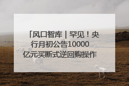 风口智库｜罕见！央行月初公告10000亿元买断式逆回购操作，什么信号？