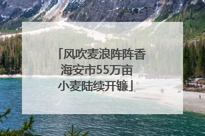 风吹麦浪阵阵香 海安市55万亩小麦陆续开镰