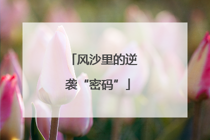 风沙里的逆袭“密码”