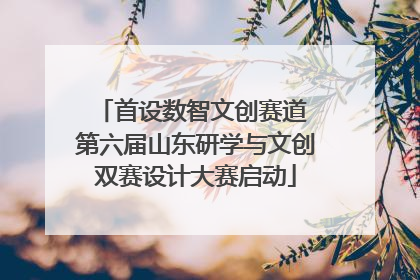 首设数智文创赛道 第六届山东研学与文创双赛设计大赛启动