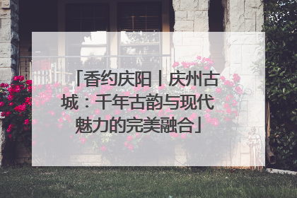 香约庆阳丨庆州古城：千年古韵与现代魅力的完美融合