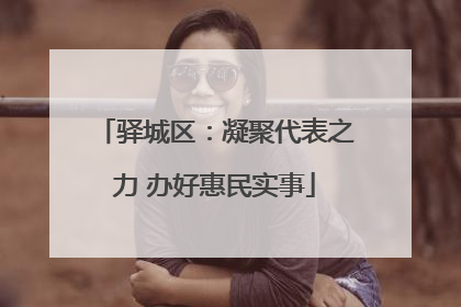 驿城区：凝聚代表之力 办好惠民实事