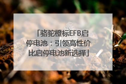 骆驼橙标EFB启停电池：引领高性价比启停电池新选择