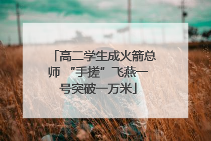 高二学生成火箭总师 “手搓”飞燕一号突破一万米