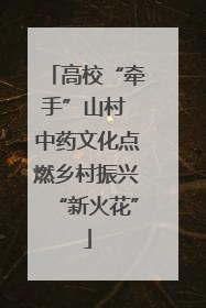 高校“牵手”山村 中药文化点燃乡村振兴“新火花”