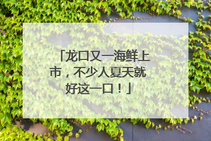 龙口又一海鲜上市,不少人夏天就好这一口!