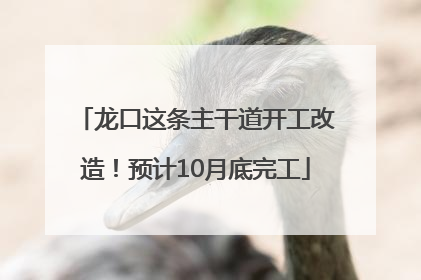 龙口这条主干道开工改造！预计10月底完工