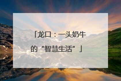 龙口：一头奶牛的“智慧生活”