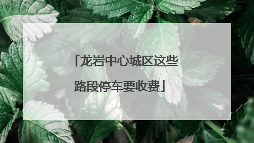 龙岩中心城区这些路段停车要收费