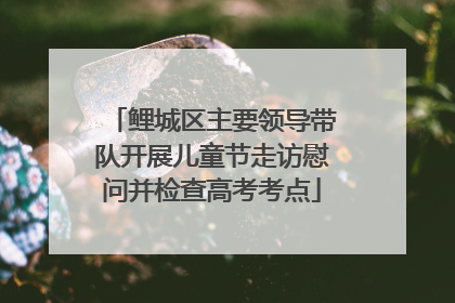 鲤城区主要领导带队开展儿童节走访慰问并检查高考考点
