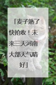 麦子熟了快抢收！未来三天河南大部天气晴好