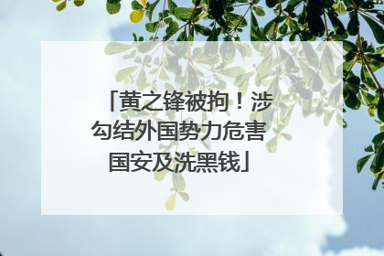 黄之锋被拘！涉勾结外国势力危害国安及洗黑钱