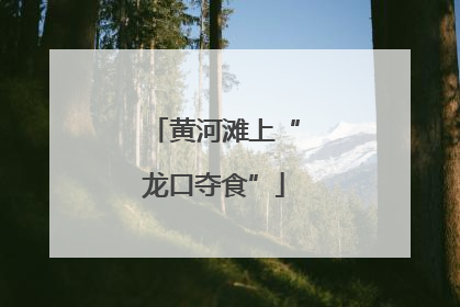 黄河滩上“龙口夺食”