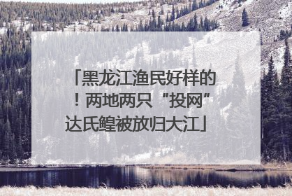 黑龙江渔民好样的！两地两只“投网”达氏鳇被放归大江