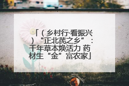 （乡村行·看振兴）“正北芪之乡”：千年草本焕活力 药材生“金”富农家