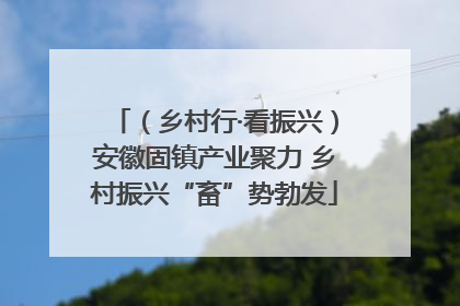 （乡村行·看振兴）安徽固镇产业聚力 乡村振兴“畜”势勃发