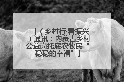 （乡村行·看振兴）通讯：内蒙古乡村公益岗托底农牧民“稳稳的幸福”