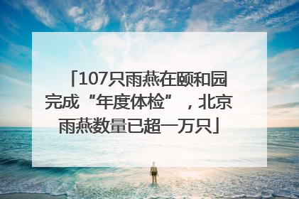 107只雨燕在颐和园完成“年度体检”，北京雨燕数量已超一万只
