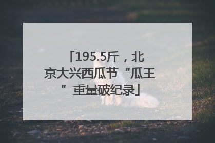 195.5斤，北京大兴西瓜节“瓜王”重量破纪录
