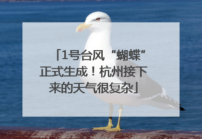 1号台风“蝴蝶”正式生成！杭州接下来的天气很复杂