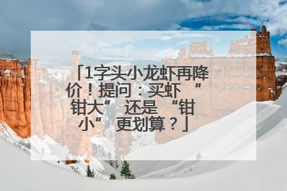 1字头小龙虾再降价！提问：买虾 “钳大” 还是 “钳小” 更划算？