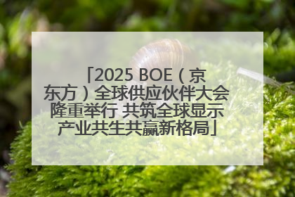 2025 BOE（京东方）全球供应伙伴大会隆重举行 共筑全球显示产业共生共赢新格局