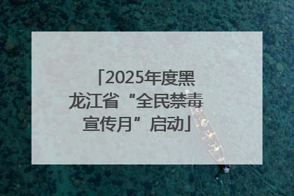 2025年度黑龙江省“全民禁毒宣传月”启动