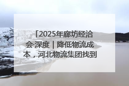 2025年廊坊经洽会·深度｜降低物流成本，河北物流集团找到一把“金钥匙”