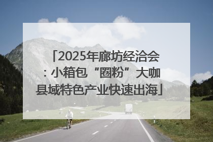 2025年廊坊经洽会：小箱包“圈粉”大咖 县域特色产业快速出海