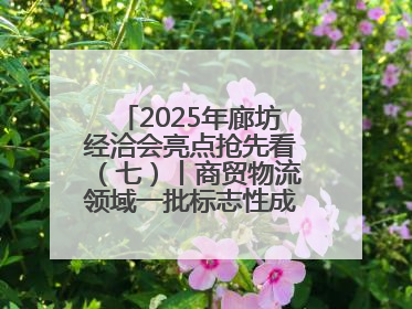 2025年廊坊经洽会亮点抢先看（七）丨商贸物流领域一批标志性成果将集中发布