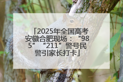 2025年全国高考安徽合肥现场：“985”“211”警号民警引家长打卡