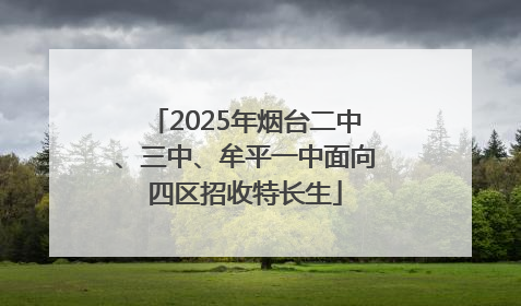 2025年烟台二中、三中、牟平一中面向四区招收特长生