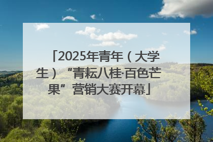 2025年青年（大学生）“青耘八桂·百色芒果”营销大赛开幕