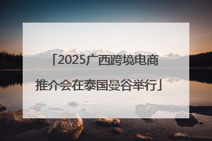 2025广西跨境电商推介会在泰国曼谷举行