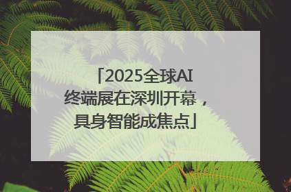 2025全球AI终端展在深圳开幕，具身智能成焦点
