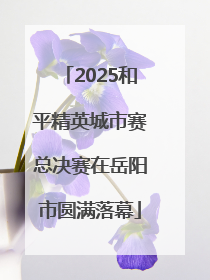 2025和平精英城市赛总决赛在岳阳市圆满落幕