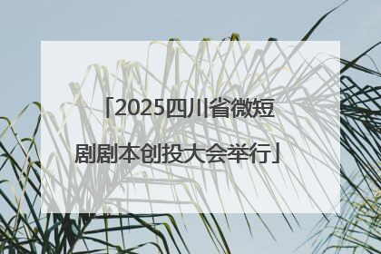 2025四川省微短剧剧本创投大会举行