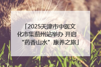 2025天津市中医文化市集蓟州站举办 开启“药香山水”康养之旅